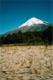 De vulkaan Osorno
